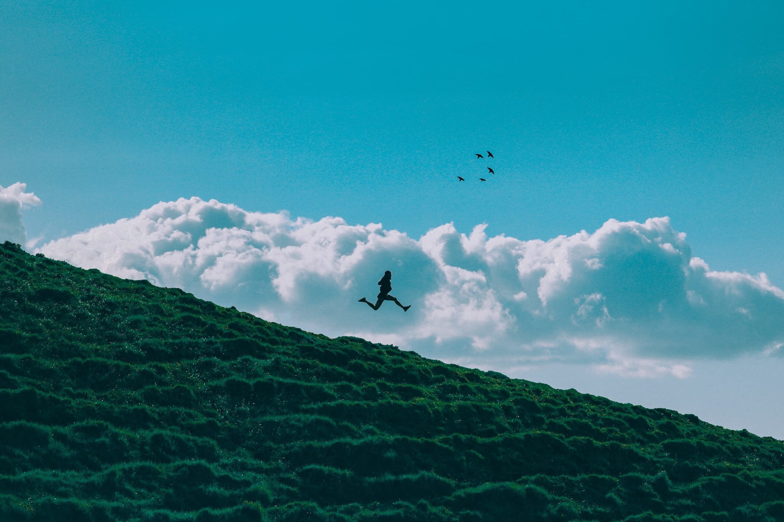 Markets Always Look Forward